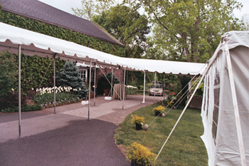Marquee / Canopy